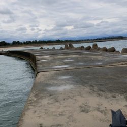 ライトショアジギング