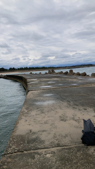 ライトショアジギング