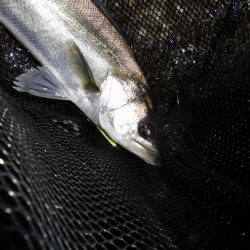 終了間際に本命のヒット…。