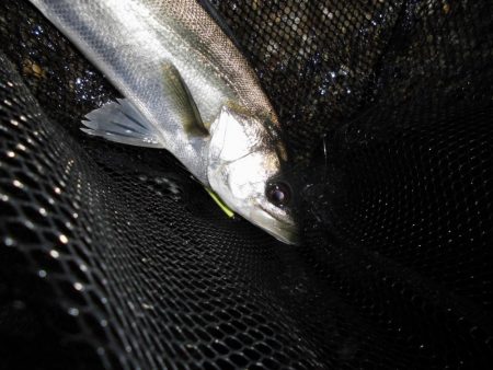 終了間際に本命のヒット…。