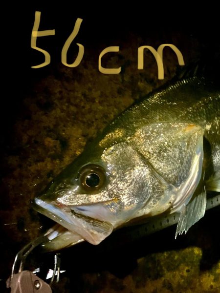 シラスパターン