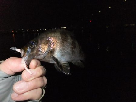 サクッとメバリング