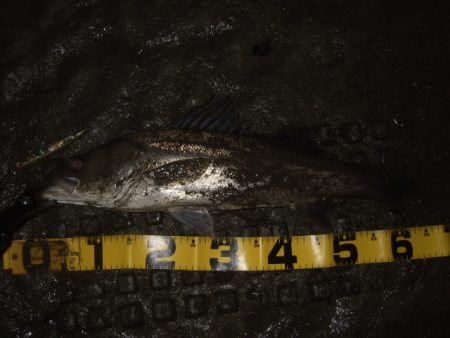 予想通りの苦戦