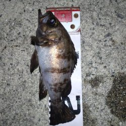 鬼爪がグッジョブでした