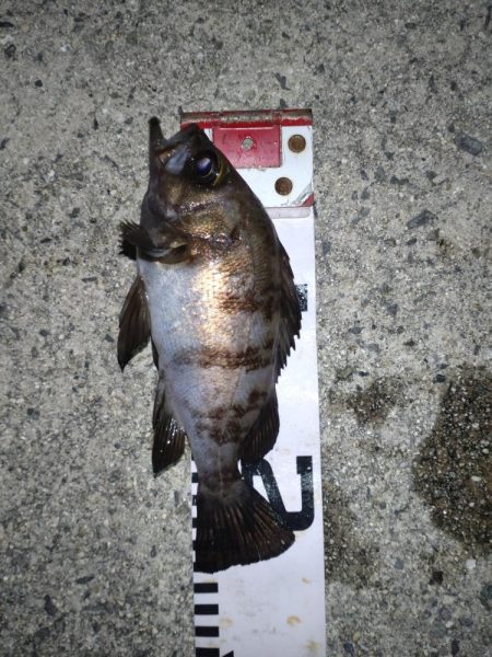 鬼爪がグッジョブでした