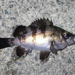 当たりはあるけど