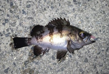 当たりはあるけど