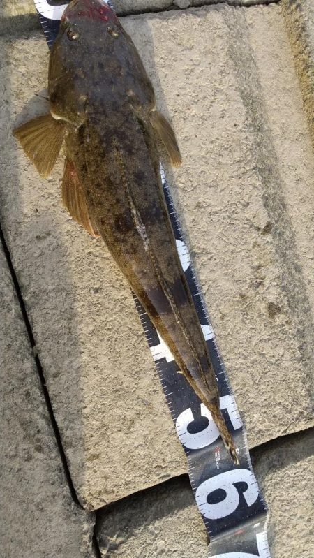 チニングしてたはずなのに……