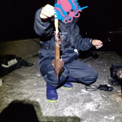 リュウグウノツカイ