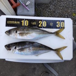 自己タイ記録！！３４センチ！