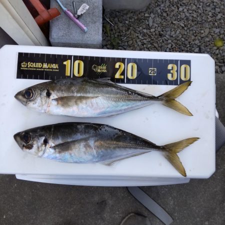 自己タイ記録！！３４センチ！