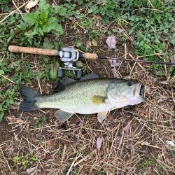 近所の川で50UPプリスポーン