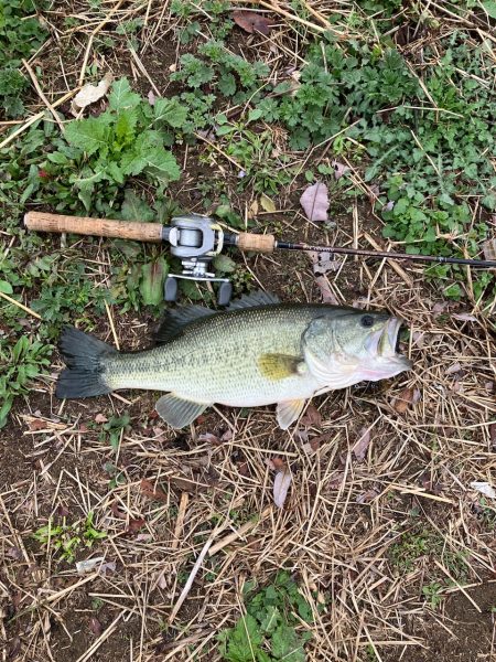 近所の川で50UPプリスポーン