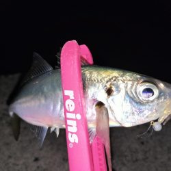 潮止まりでも関係なし