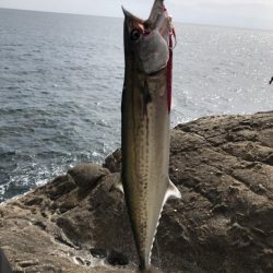 鬼ヶ城、千畳敷にて