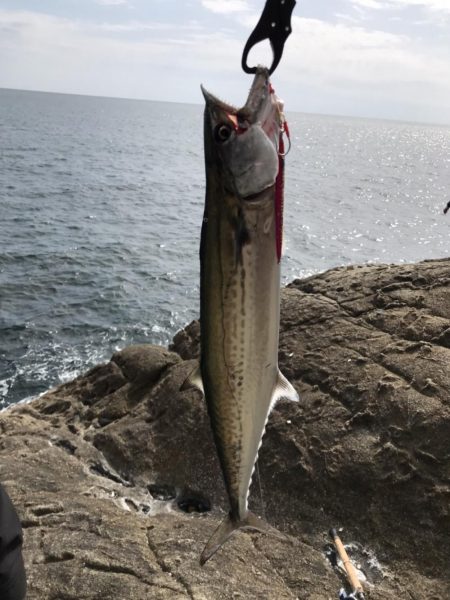 鬼ヶ城、千畳敷にて