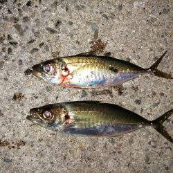 いつもの場所で