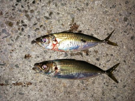 いつもの場所で