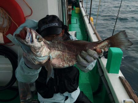 泉州丸　釣果