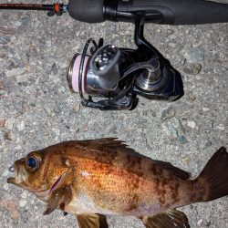 ナイトメバリング