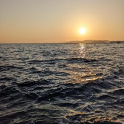 クログチ釣り（泉州丸）