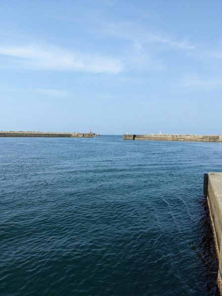 アジング&お花見🌸