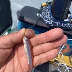 ワカサギ釣り