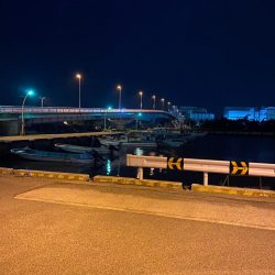 メバリングby小雨