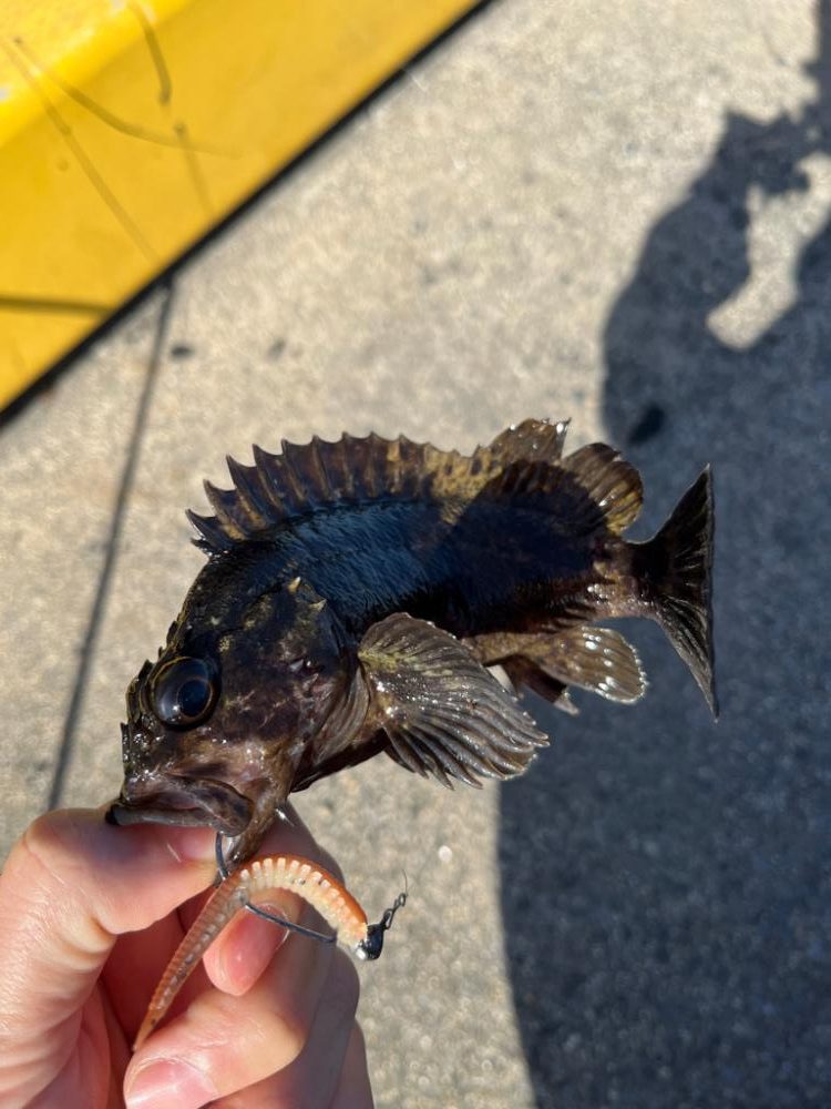 春のタケノコ祭り