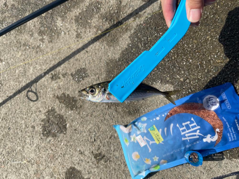 サビキ