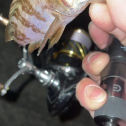 雨降る前にメバリング♪