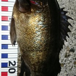 自己新記録達成！