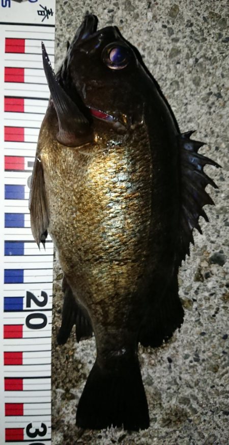 自己新記録達成！