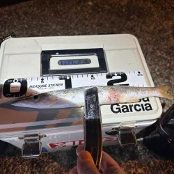 話しが違う❗️