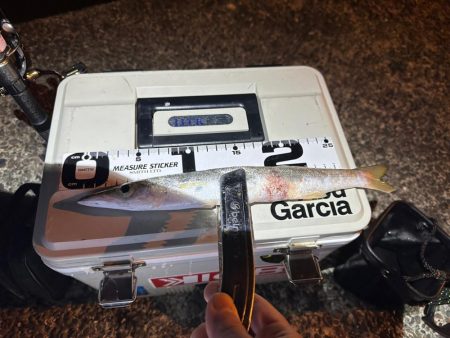 話しが違う❗️