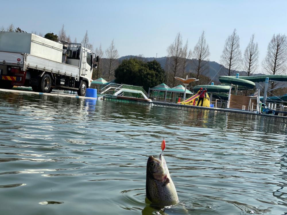 放流日だよ全員集合。かめプー釣れ釣れ