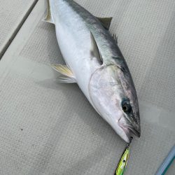 丹後ジギング2日目