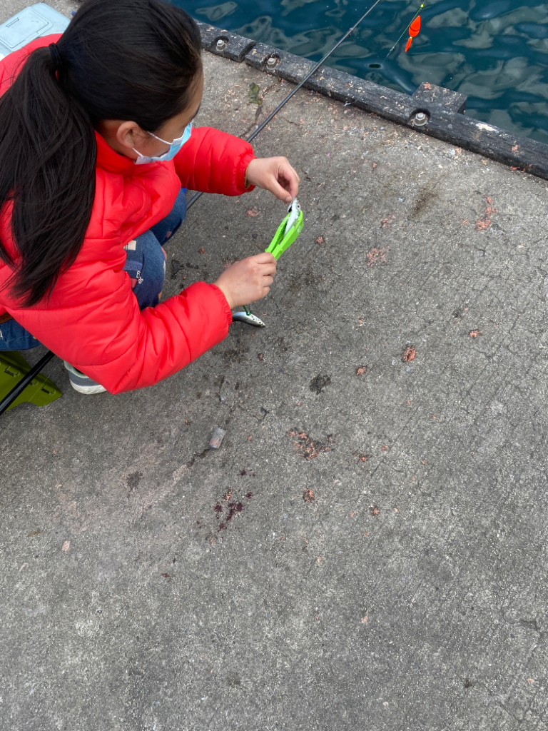 まだまだ続くよ!