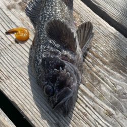 久々の釣堀水宝