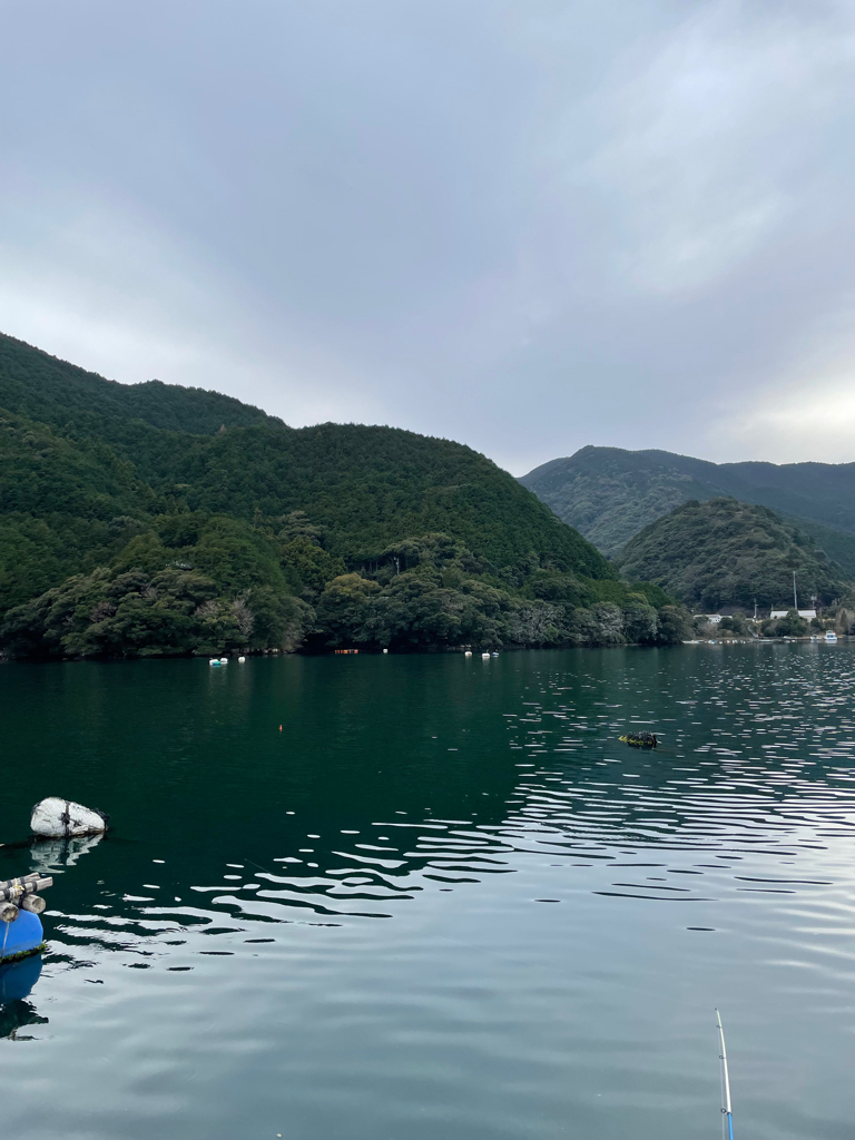釣れるけど難しい！厳しい！
