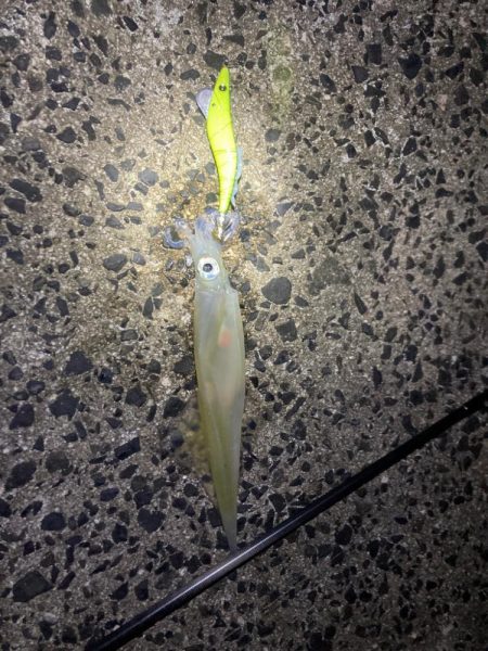 爆風でもなんとか4杯