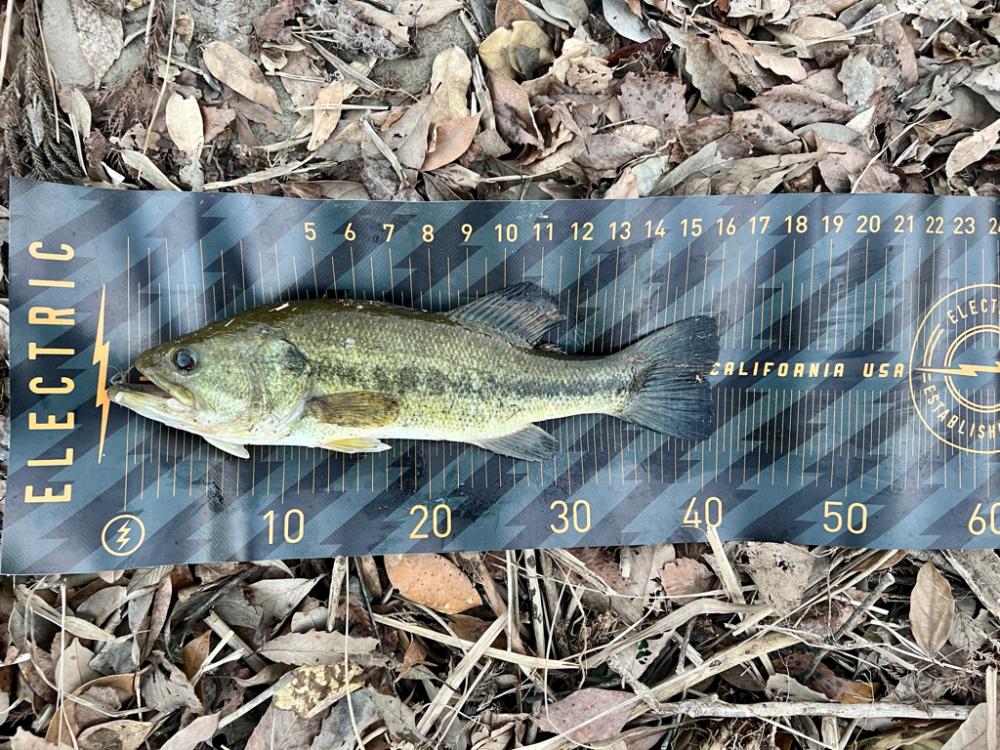 春がすぐそこまで来ている予感