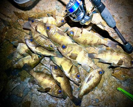 春メバル開幕か？