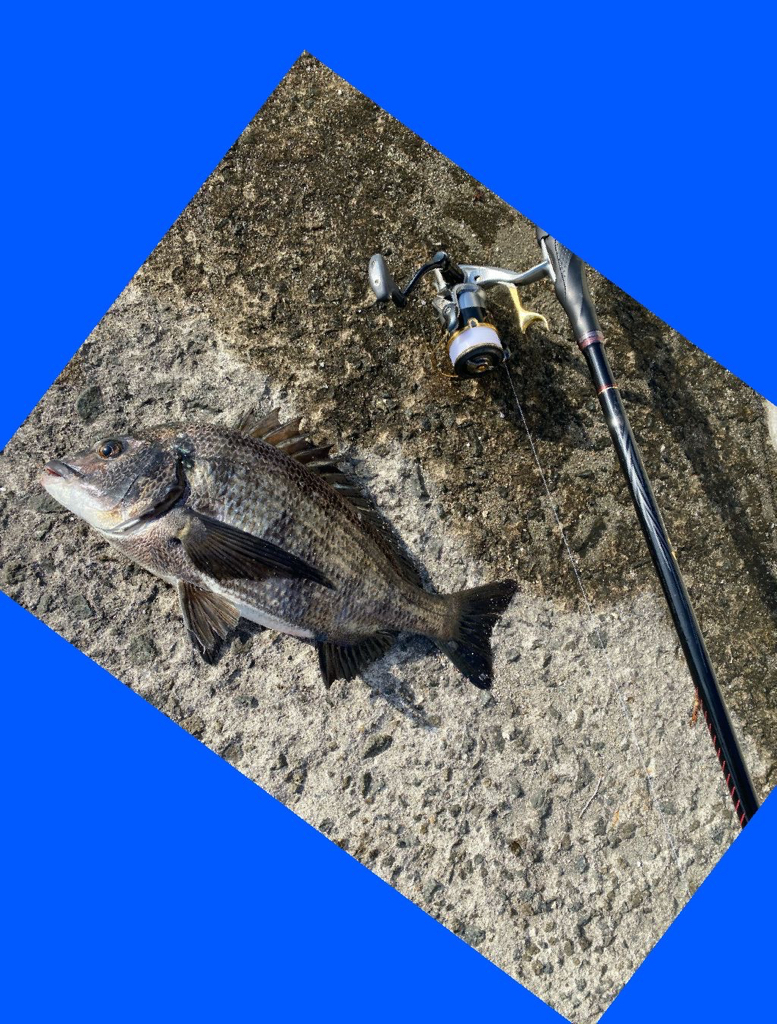 先日の雨の影響は