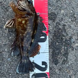 春が近づく四日市