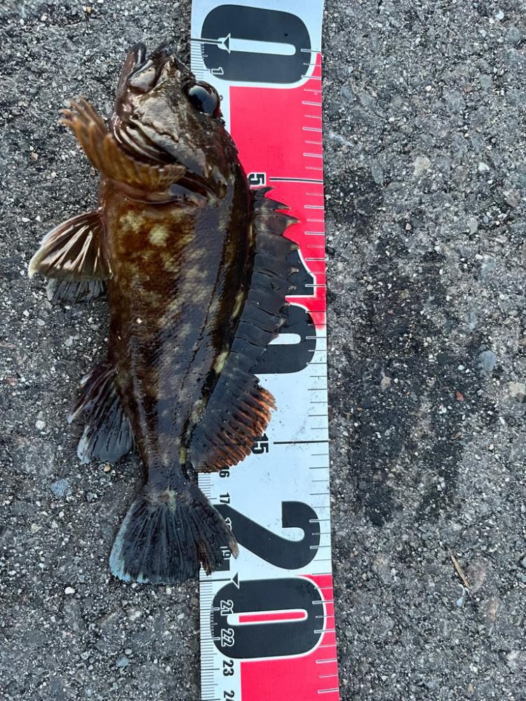 春が近づく四日市