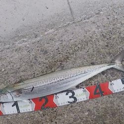 サゴシ！2023ライトゲーム第7戦