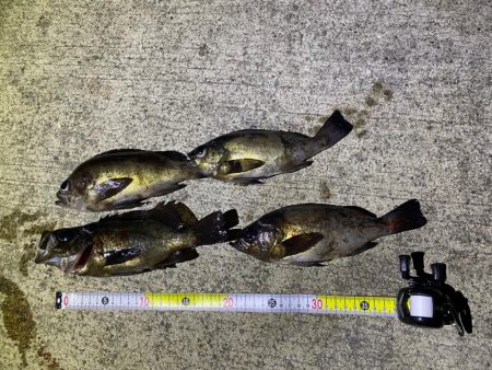 淡路島メバリング