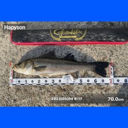 ドンと来る引きごたえスズキ70