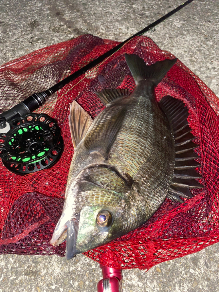 ヘチってきました